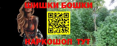дурь Заводоуковск