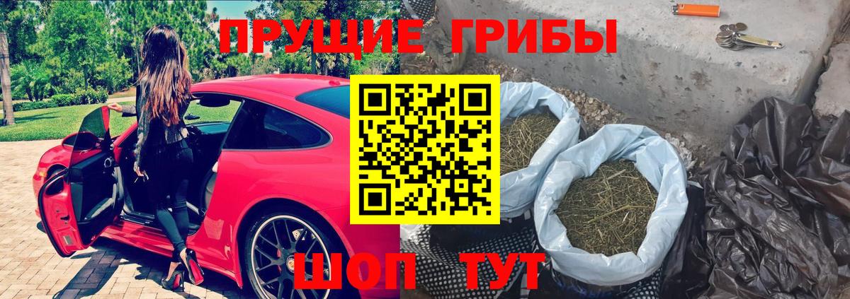Галлюциногенные грибы Psilocybe Кубинка